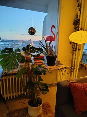 Foto - 1 Zimmer Etagenwohnung zur Miete in Berlin