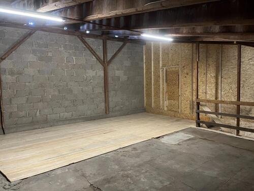 Foto - andere in Bingen am Rhein