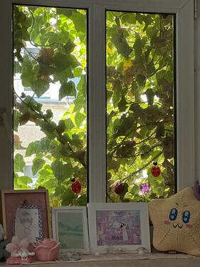 Foto - 3 Zimmer Etagenwohnung zur Miete in Jena