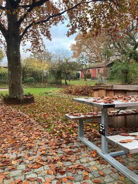 Foto - Einfamilienhaus in Drelsdorf zum Kaufen