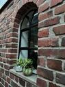 Foto - Einfamilienhaus zur Miete in Nordstrand