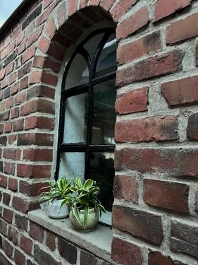Foto - Einfamilienhaus zur Miete in Nordstrand