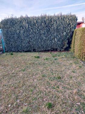 Foto - Grundst&uuml;ck in Spremberg