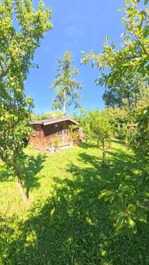 Foto - 5 Zimmer Doppelhaushälfte in Straubing