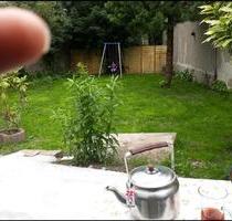 ***2 Zimmer Erdgeschoss Wohnung Duisburg Walsum Garten Terrasse