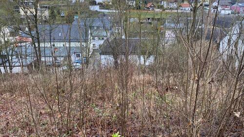 Foto - Grundstück in Köditz