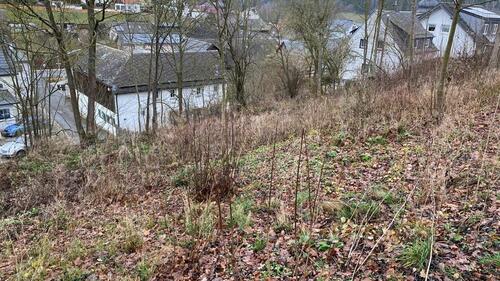 Foto - Grundstück in Köditz zur Miete