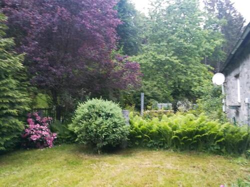 Foto - andere in Teisnach