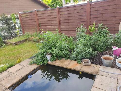 Foto - 2 Zimmer Etagenwohnung in Westhofen