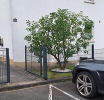 Schöne und helle 3 Zimmerwohnung in ruhiger Lage - Bad Hersfeld