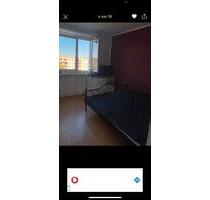 sonnige, helle Wohnung ab sofort in Greifswald zu vermieten - Dresden Cossebaude