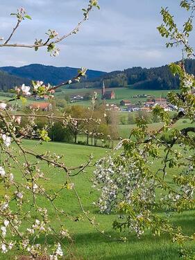 Foto - andere zur Miete in Kollnburg