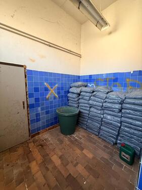 Foto - andere in Artern zur Miete