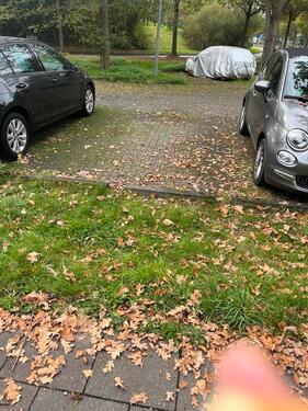 Foto - andere zur Miete in Köln