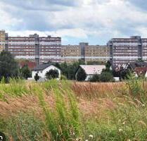 1 Zimmer Wohnung in Rodgau Nieder Roden