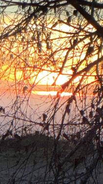 Foto - 2 Zimmer Wohnung zu verkaufen - 58.000,00&nbsp;EUR Kaufpreis, ca.&nbsp; 60,00&nbsp;m&sup2;