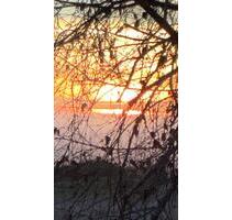 2 Zimmer Wohnung zu verkaufen - 58.000,00&nbsp;EUR Kaufpreis, ca.&nbsp; 60,00&nbsp;m&sup2; in Bad Sachsa (PLZ: 37441)