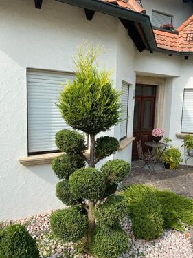 Foto - 1 Zimmer Wohnung zum vermieten - 640,00&nbsp;EUR Kaltmiete, ca.&nbsp; 35,00&nbsp;m&sup2;