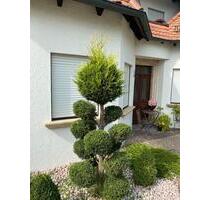 1 Zimmer Wohnung zum vermieten - 640,00&nbsp;EUR Kaltmiete, ca.&nbsp; 35,00&nbsp;m&sup2; in Bamberg (PLZ: 96052) Bamberg-Ost