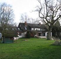 Resthof mit 16 ha Grünland in 23744 Schönwalde - Schönwalde am Bungsberg