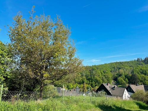 Foto - Terrassenwohnung in Schlangenbad zur Miete