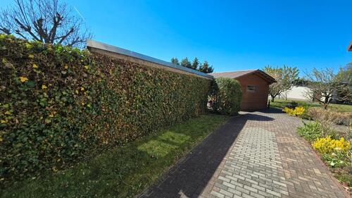 Foto - 5 Zimmer Einfamilienhaus in Lübbenau (Spreewald)
