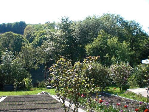 Foto - Garten Schrebergarten Freizeitgrundstück Waldnähe Ennepetal