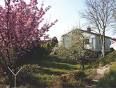 Foto - Großzügiges Einfamilienhaus mit riesigem Garten