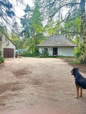 Foto - andere in Wardenburg