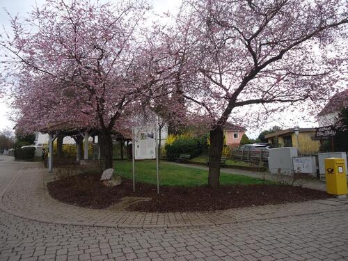 Foto - Etagenwohnung in Weinheim zur Miete