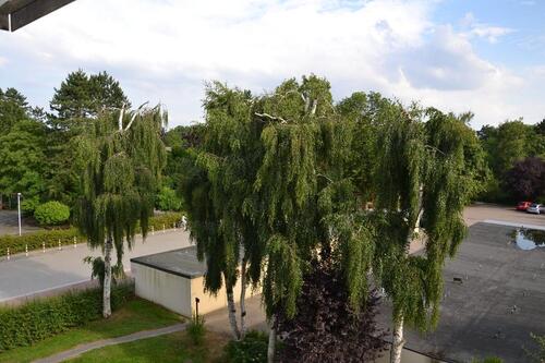 Foto - Etagenwohnung in Buxtehude zur Miete