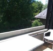 Helle Ein-Zimmer-Wohnung in Versbach, Würzburg