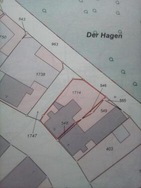 Foto - Mehrfamilienhaus, Wohnhaus in Borgentreich zum Kaufen