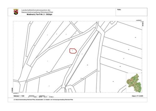 Foto - Waldfläche 3922qm gerodet Mosbruch (Kelberg)