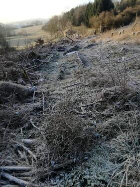 Foto - Grundst&uuml;ck in Uersfeld zur Miete