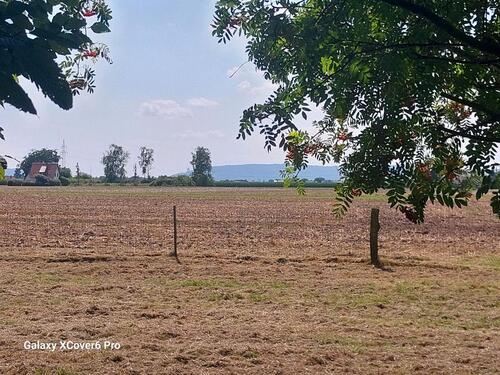 Foto - Einfamilienhaus in Minden zur Miete