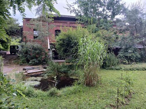 Foto - Ferienwohnung - 60,00&nbsp;EUR Kaltmiete,