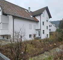 Moderne 2.Zimmer WHG Erdgeschoss Fussbodenhzg. Keller Park - Bad Ditzenbach