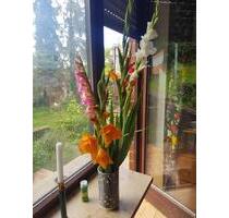 Unmöblierte 3,5 Zimmer Wohnung zur Zwischenmiete FebMärz 2026 - Würzburg Frauenland