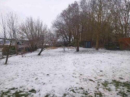 Foto - Einfamilienhaus in Greifswald zum Kaufen