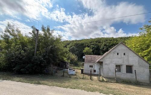 Foto - Einfamilienhaus in Triberg im Schwarzwald zum Kaufen