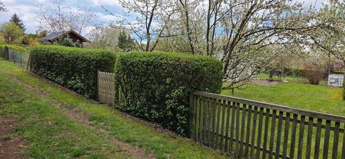 Foto - Pachtgarten 'Am Wiegwasser'e.V. Gotha