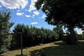 Foto - andere in Tarnow