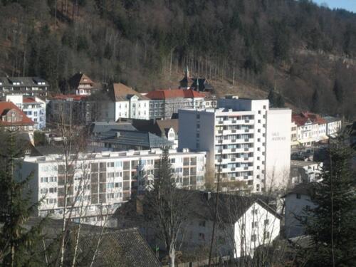 Foto - 1 Zi Wohnung 35qm in St. Blasien zu vermieten