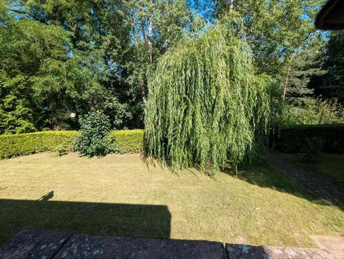 Foto - Einfamilienhaus in Storkow (Mark)