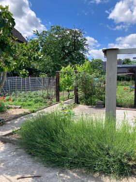 Foto - Gemüsegarten in Krefeld Fischeln zu verpachten