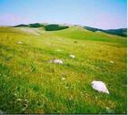 Foto - Grundstück in Montenegro - 5,00 EUR Kaltmiete, ca.  0,00 m²