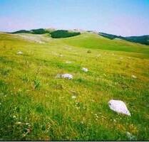 Grundstück in Montenegro - 5,00 EUR Kaltmiete, ca.  0,00 m² in Schkeuditz (PLZ: 04435)