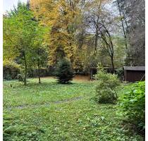 Waldgrundstück zu verpachtenNähe Overath Immekeppel - Köln Mülheim