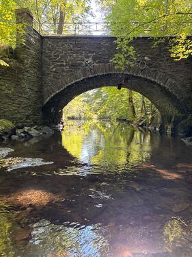 Foto - Grundstück zur Miete in Kirchen (Sieg)